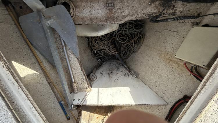 img-1606-6918a5dd62303691919520.jpg