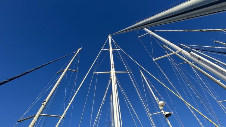 20250924-070332492-ios-68d400043324c164332124.jpg