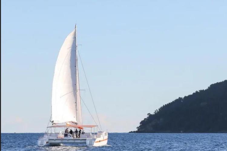 Sailing catamaran DAYCHARTER 2026 on open sea near forested coastline.