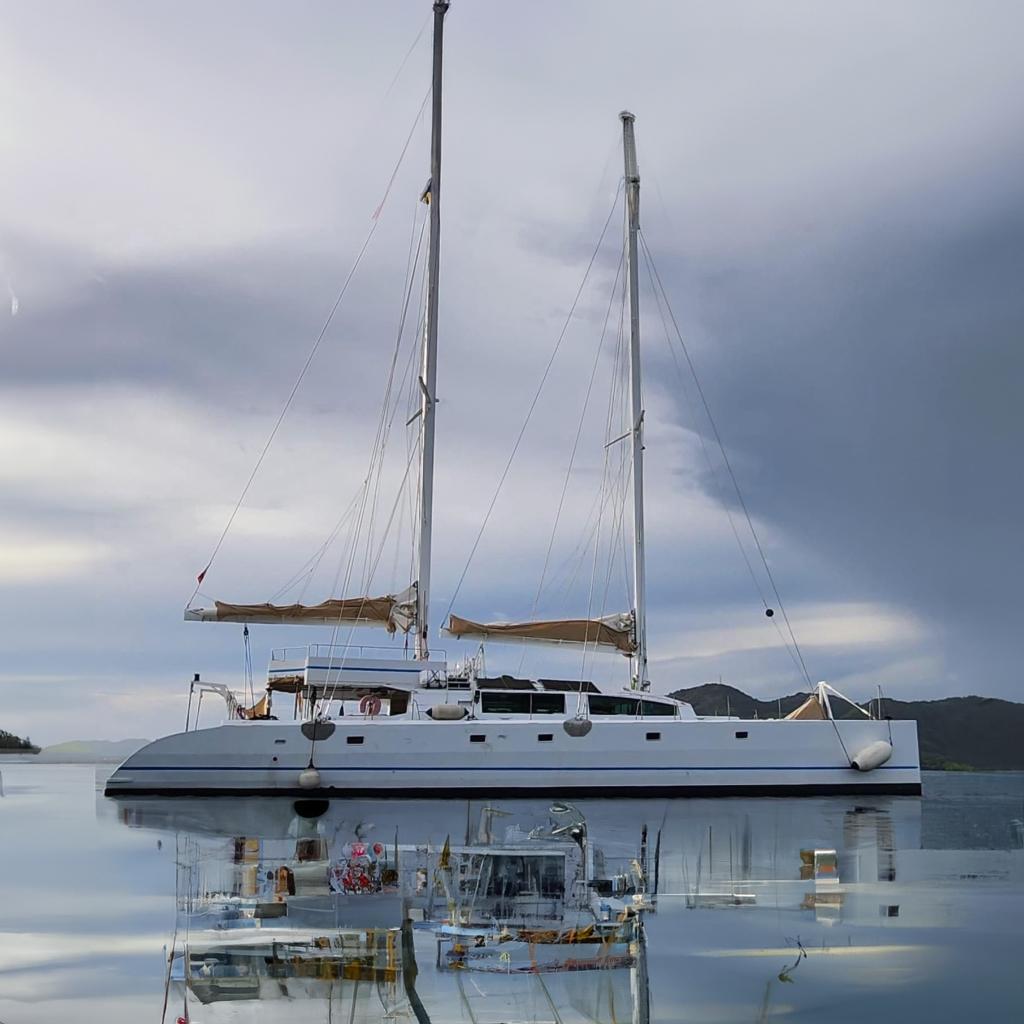 Etoile marine Maxi Cat 24