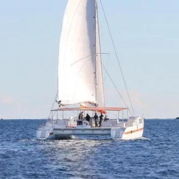 Sailing catamaran DAYCHARTER 2026 on open sea near forested coastline.